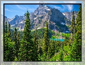 Park Narodowy Glacier, Lasy, Jezioro, Stany Zjednoczone, Grinnell Lake, Drzewa, Góry, Montana
