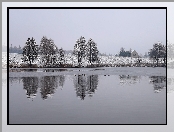 Zima, Drzewa, Pole, Jezioro, Kaczki