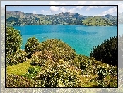 Jezioro, Nowa Zelandia, Gry, Rolinno