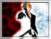 Ichigo, Bleach, Kontrast