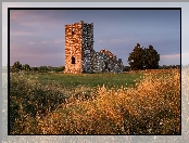 Drzewa, Knowlton Church, Zachód Słońca, Kościół, Wimborne, Anglia, Wielka Brytania, Ruiny, Trawa