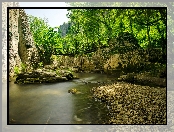Bułgaria, Kamienie, Rzeka, Drzewa