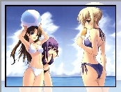 dziewczyny, Fate Stay Night, plaża, piłka