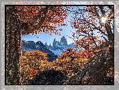 Park Narodowy Los Glaciares, Jesień, Fitz Roy, Argentyna, Drzewa, Promienie słońca, Góry, Patagonia