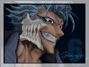 Grimmjow, Espada, Numer 6