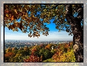 Jesień, Miasta, Drzewo, Panorama