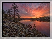 Drzewa, Karelia, Zachód słońca, Rosja, Ładoga, Kamienie, Jezioro