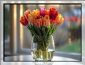 Bukiet, Tulipany, Wazon Kwiat, Kolorowe, Tulipan