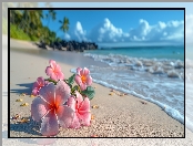Plumeria, Plaża, Morze, Kwiaty, Grafika Kwiat