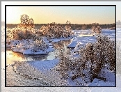 Rzeka, Śnieg, Drzewa