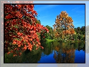 Park, Kolorowe Drzewa, Staw, Jesień