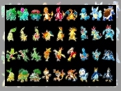 Pokemony, Fractalius