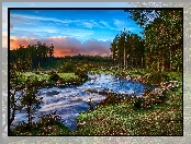 Anglia, Rzeka, Las, Park Narodowy Dartmoor, Devon