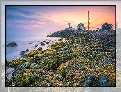 Nobska Point Light, Morze, Wschód słońca, Cape Cod Bay, Zatoka, Stan Massachusetts, Stany Zjednoczone, Latarnia morska, Skały