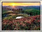 Wzgórza, Staw, Droga, Włochy, Drzewa, Kwiatx, Zachód słońca, Toskania